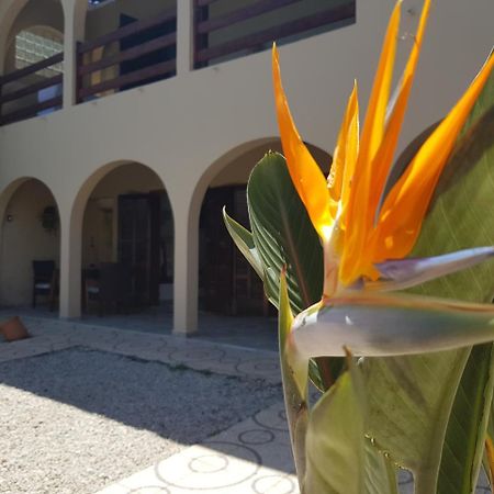 Santo Quintal Hostel Ubatuba Ngoại thất bức ảnh